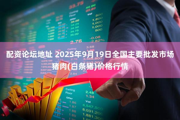 配资论坛地址 2025年9月19日全国主要批发市场猪肉(白条猪)价格行情